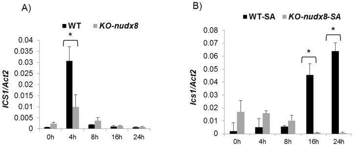 Figure 9