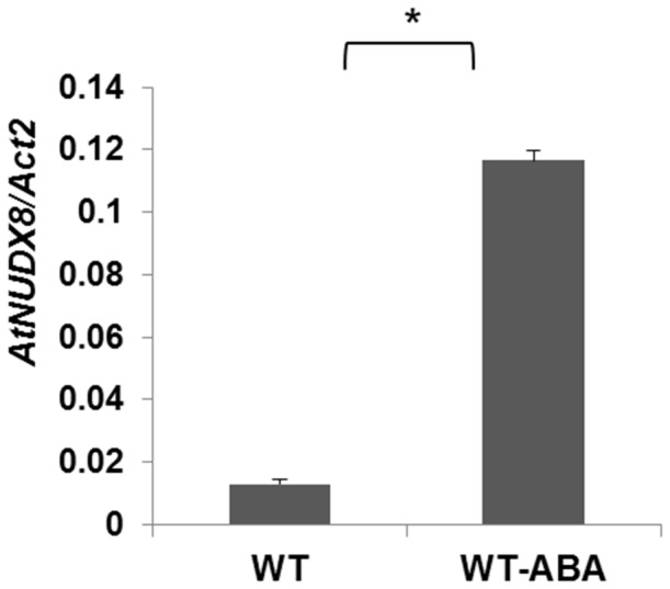 Figure 11