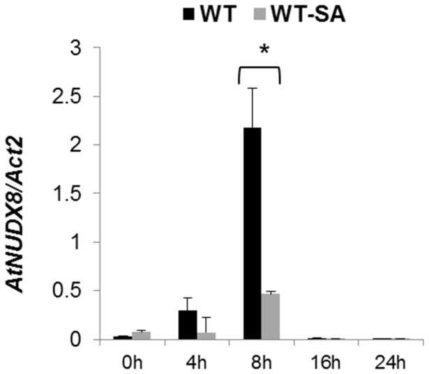 Figure 6