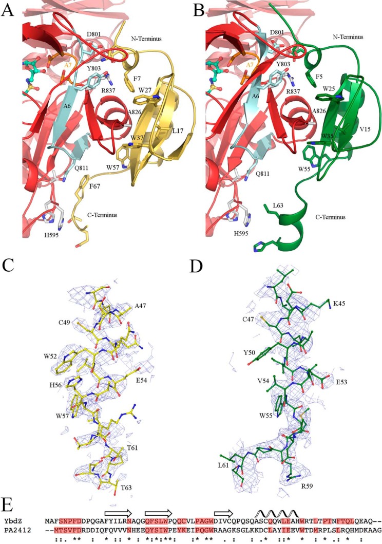 FIGURE 3.