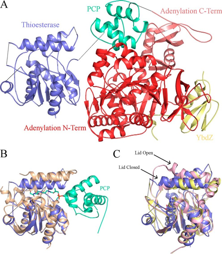 FIGURE 4.