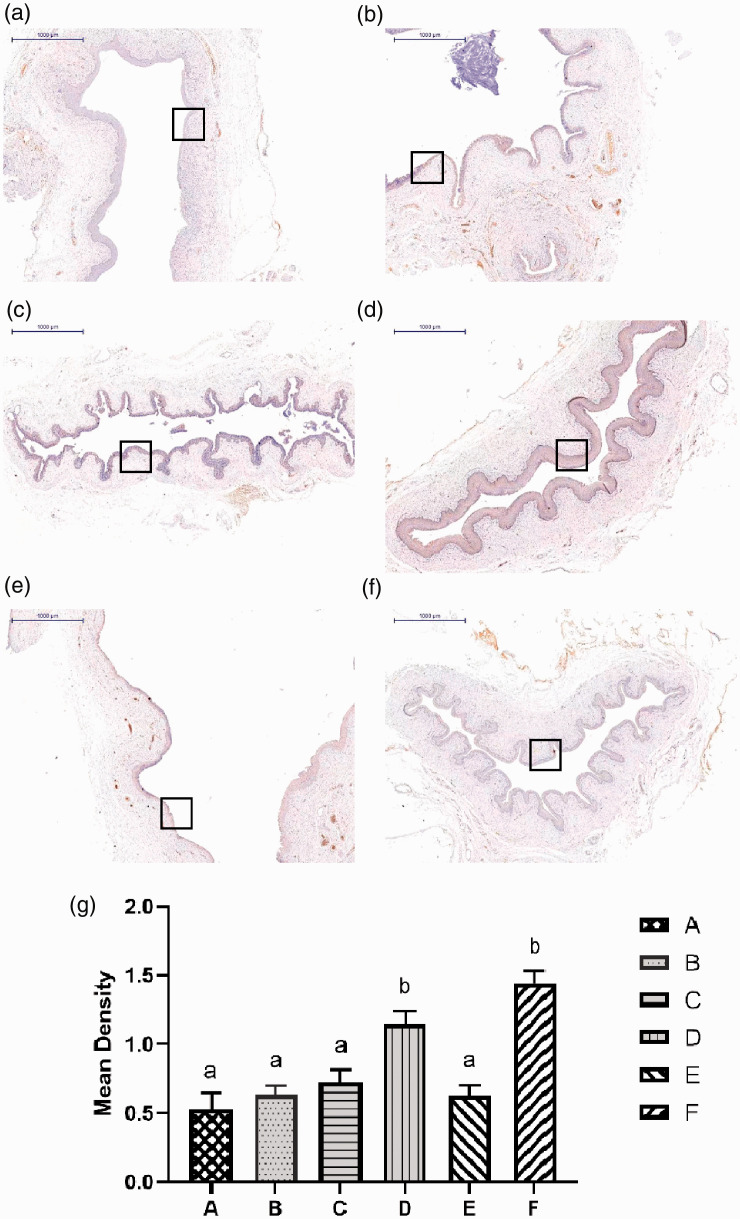 Figure 9.