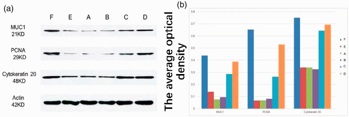 Figure 10.