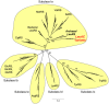 FIG. 10.