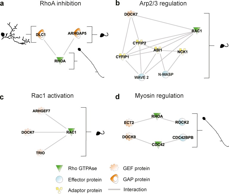 Figure 10.