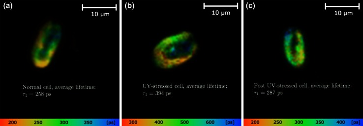 Fig. 4