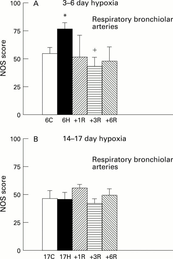 Figure 4  