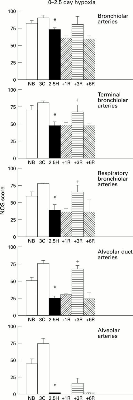 Figure 3  