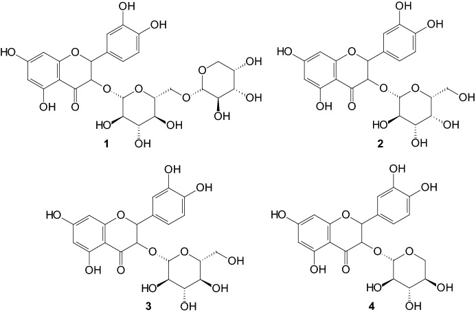 Fig. 5