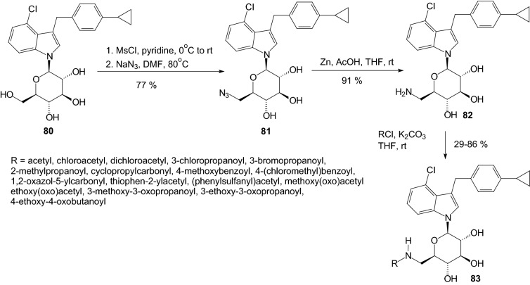 Scheme 13