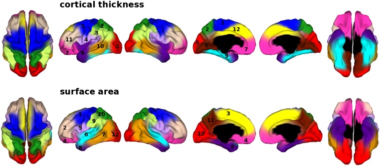 Fig. 2.