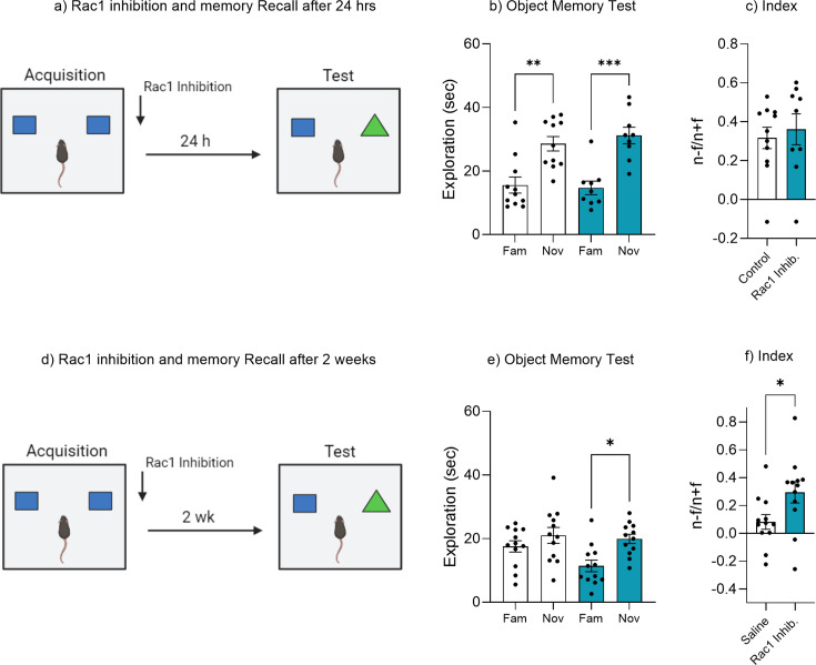 Figure 6—figure supplement 1.