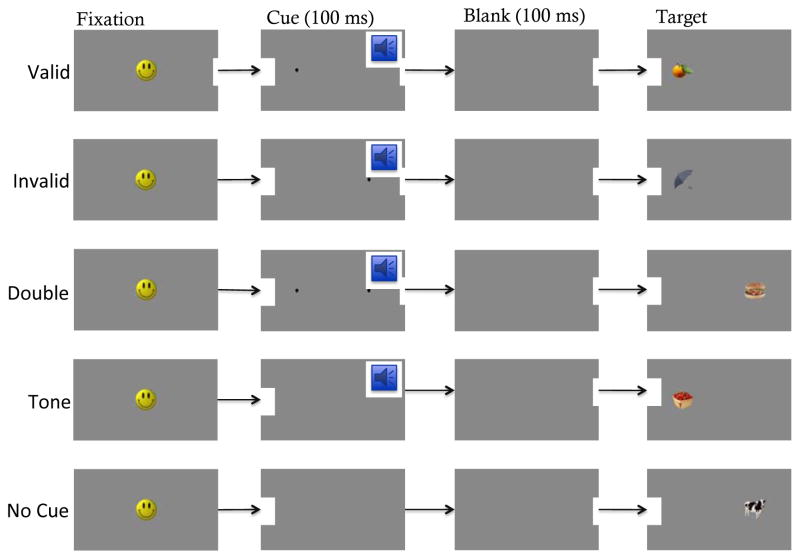 FIGURE 1