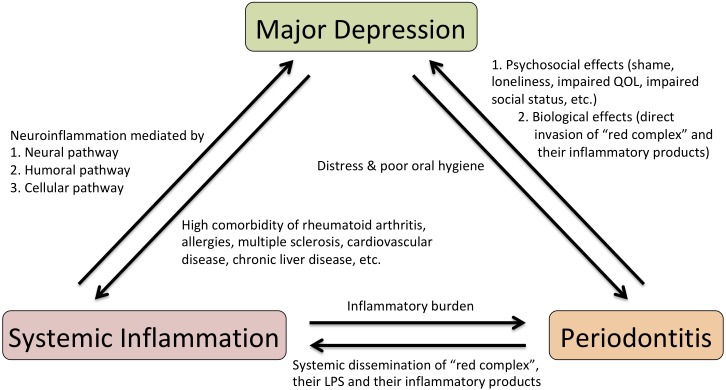 FIGURE 1