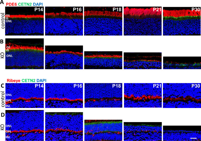 Figure 4.