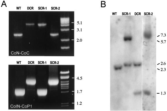 FIG. 4