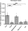 Figure 8—figure supplement 1.