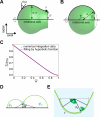Figure 4—figure supplement 1.