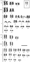Figure 5