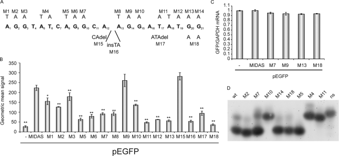 FIGURE 5.