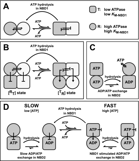 FIGURE 7.