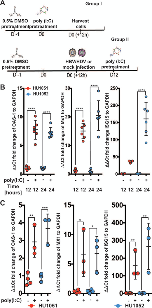 Fig. 6: