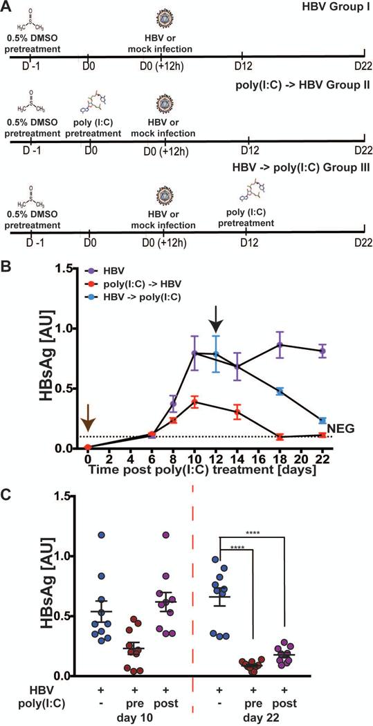 Fig. 7: