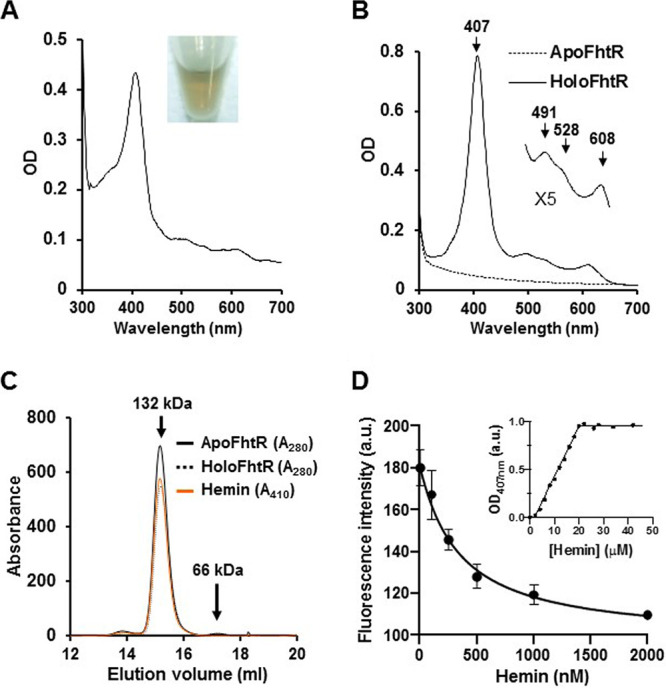 FIG 3