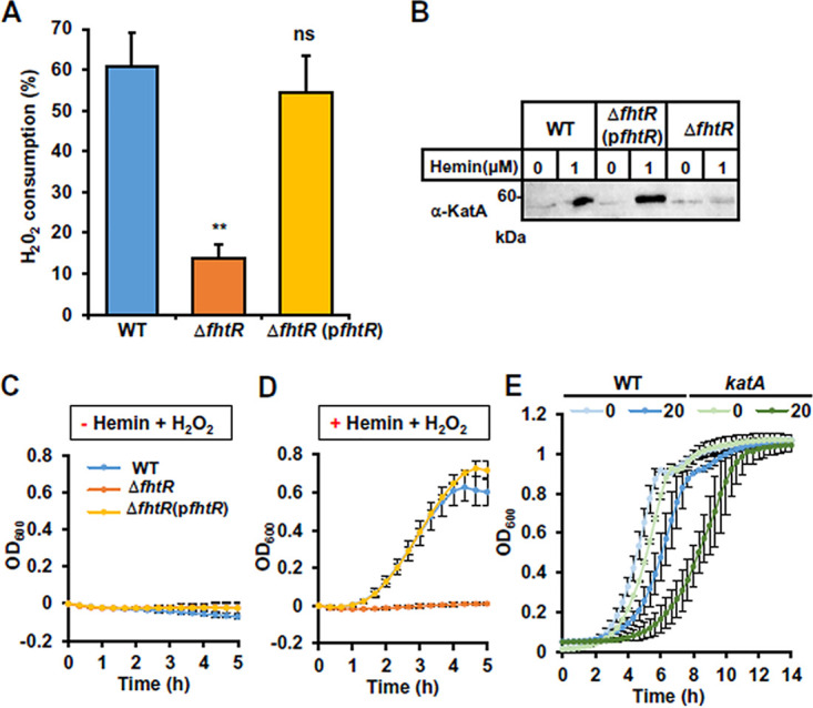 FIG 6