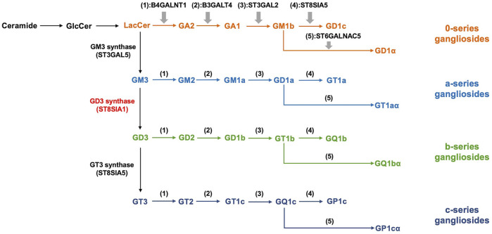 FIGURE 1