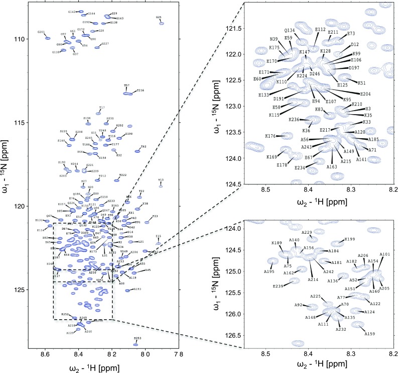 Fig. 1