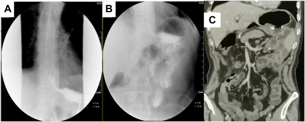 FIGURE 7