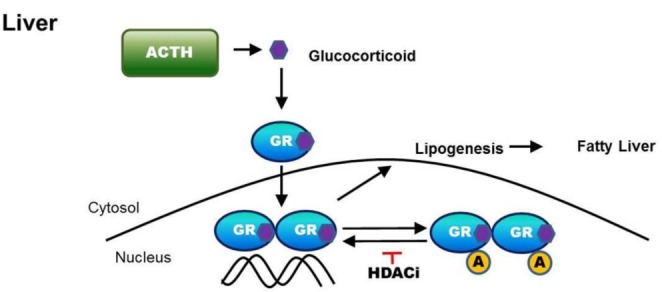 Fig. 10