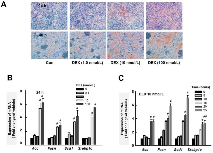 Fig. 4