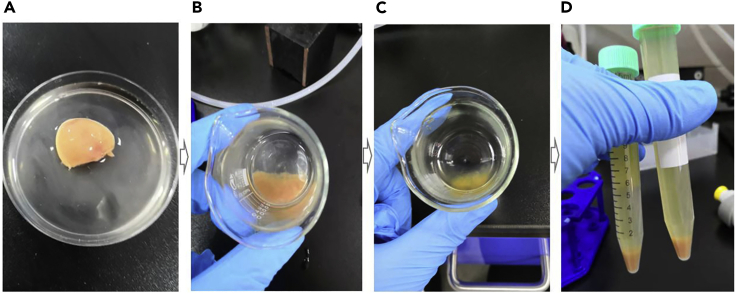 Figure 4