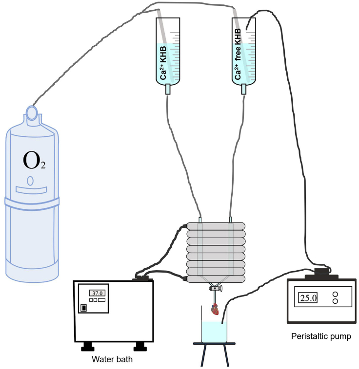 Figure 1