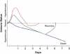 Fig.1