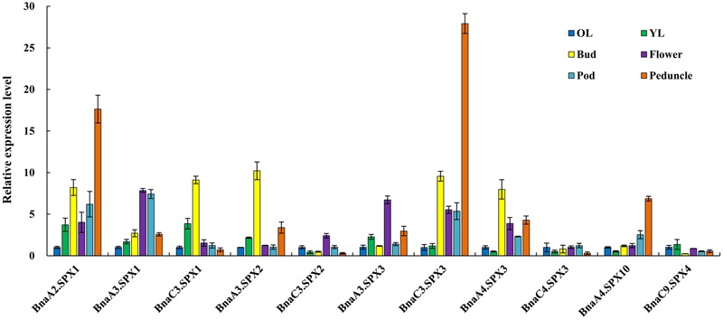 FIGURE 6