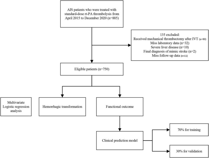 FIGURE 1