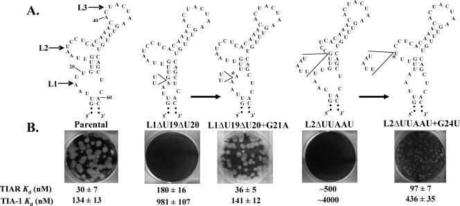 FIG. 6.