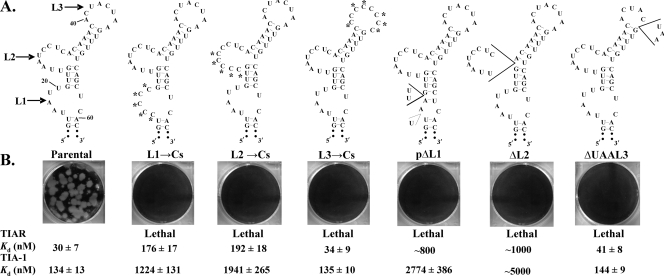 FIG. 4.