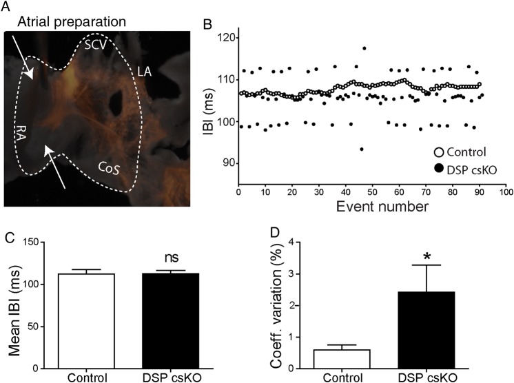 Figure 6