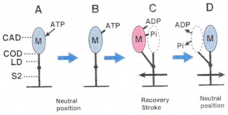 Figure 20