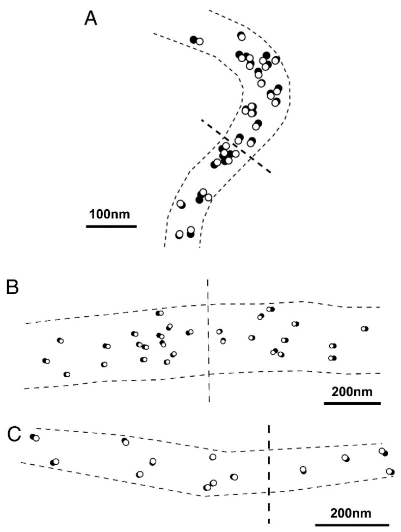 Figure 8