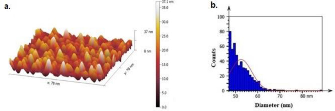 Figure 7