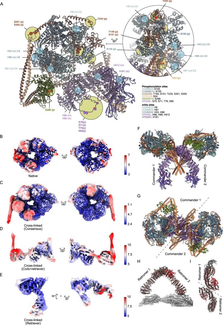 Extended Data Fig. 5