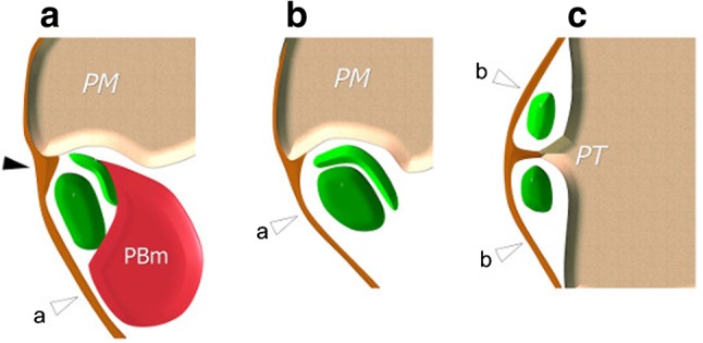 Fig. 2