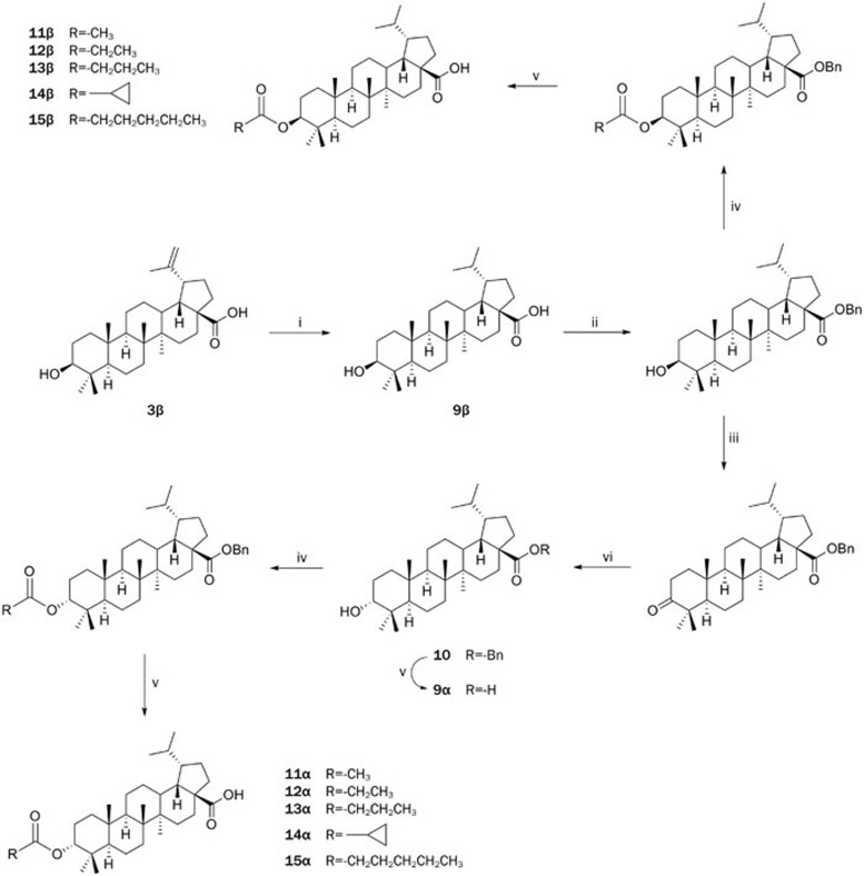 Scheme 3