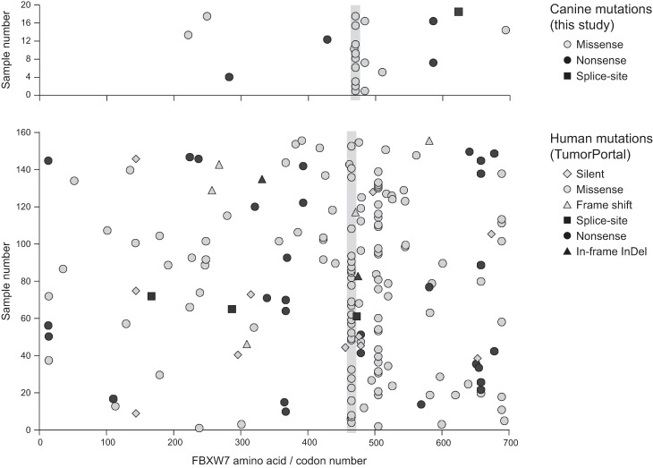 Figure 3.