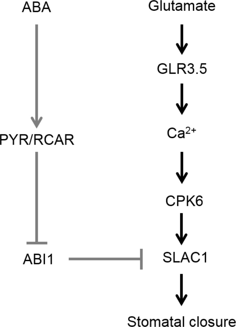 Fig. 9